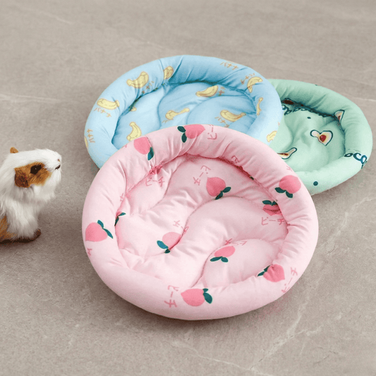 Bravonne ComfortCloud Pet Nest Interior View — Ultra-Soft Plush Lining for Small Animal Comfort | Bravonne