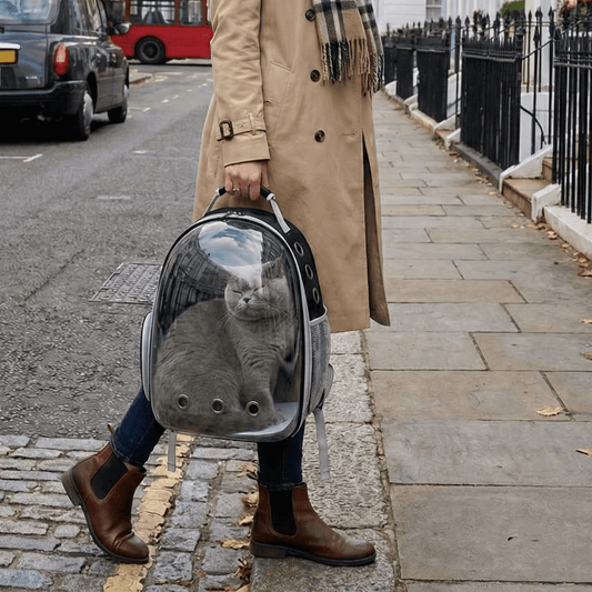 Bravonne CloudRide Executive Pet Travel Backpack Black — Airline-Approved Carrier for Cats and Small Dogs | Bravonne