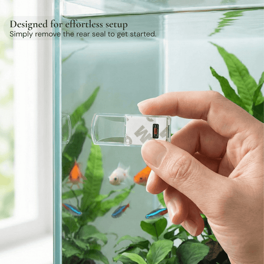 Bravonne ClimaSense Thermometer Installed in Fish Tank — Real-Time Water Temperature Monitoring | Bravonne