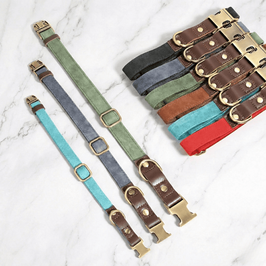 Bravonne HeritageLock Collar Blue Variant Small Size — Adjustable Fit for Small Dogs | Bravonne