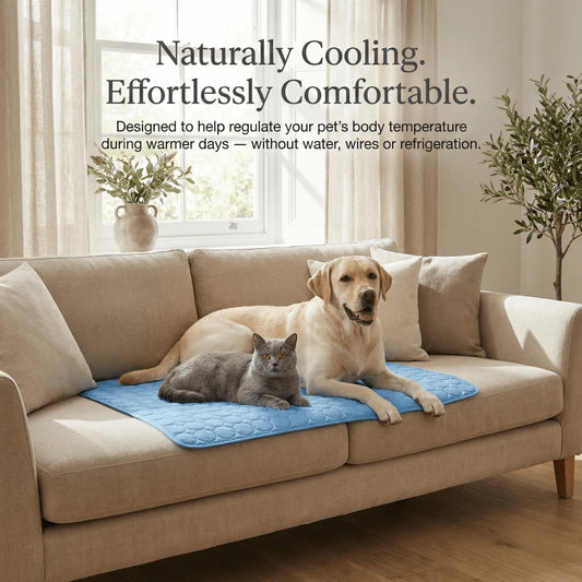 Bravonne FrostNest Cooling Mat Grey XS Size — 40x30cm, Ideal for Small Dogs and Cats | Bravonne