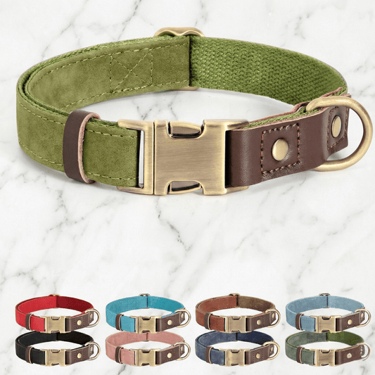Bravonne HeritageLock Premium Dog Collar — Durable Nylon with Stainless Steel Buckle | Bravonne